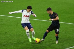 南宫28-关于托特纳姆内部会议纪要流出：今夜刷新队史纪录，英超使命明确，临场指挥获称赞的信息
