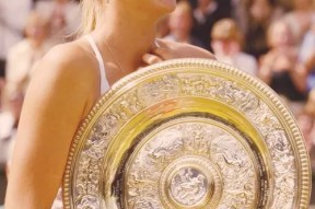 南宫28- 灾难地堡囤货求生笔趣阁 